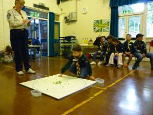 Cubs tournament (2010)